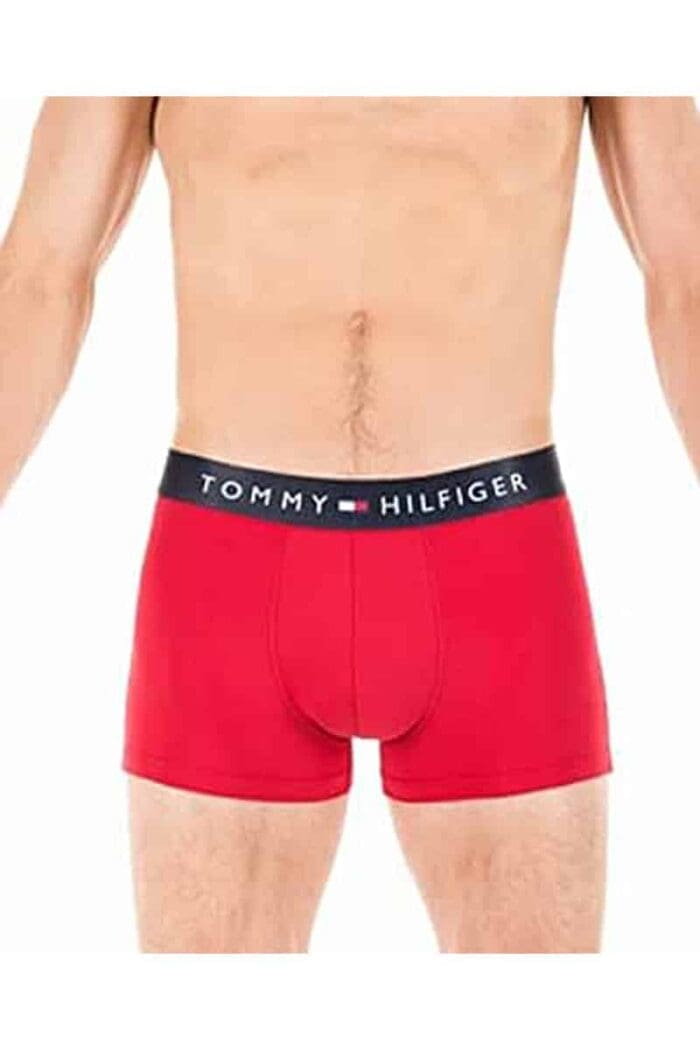 Men's Boxer Tommy Hilfiger - esorama.gr